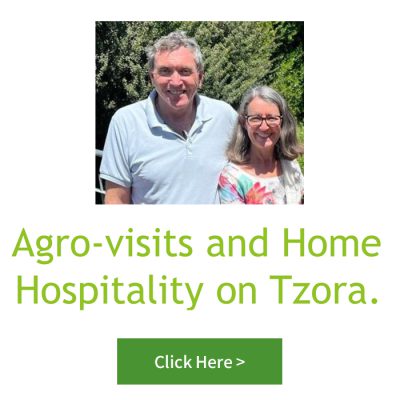 agro-visits